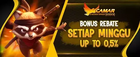 Rebate Slot Game Up to 0.5% promotion image