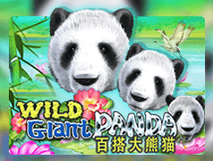 Wild Giant Panda game cover